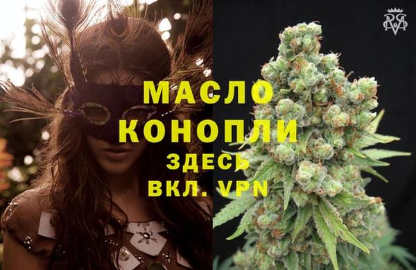 молекула духа Гусев