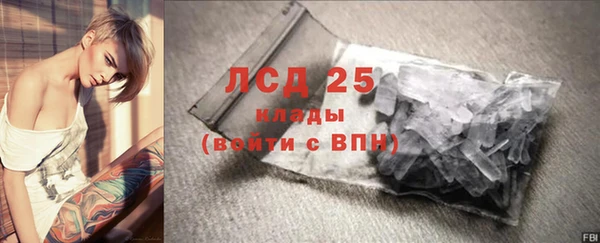 молекула духа Гусев