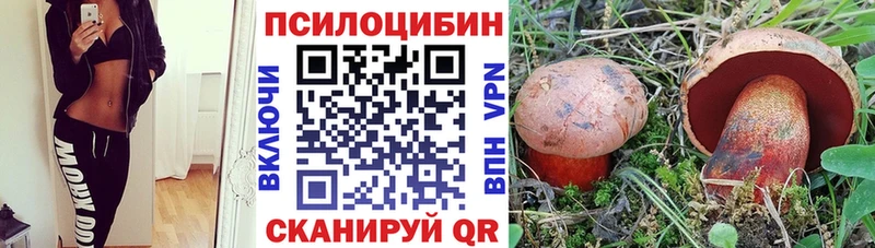 Галлюциногенные грибы Psilocybe  купить  сайты  Енисейск 